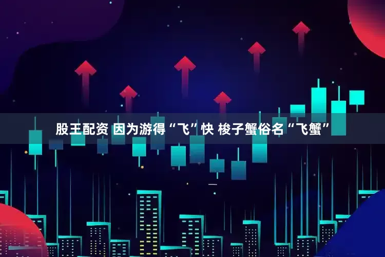 股王配资 因为游得“飞”快 梭子蟹俗名“飞蟹”