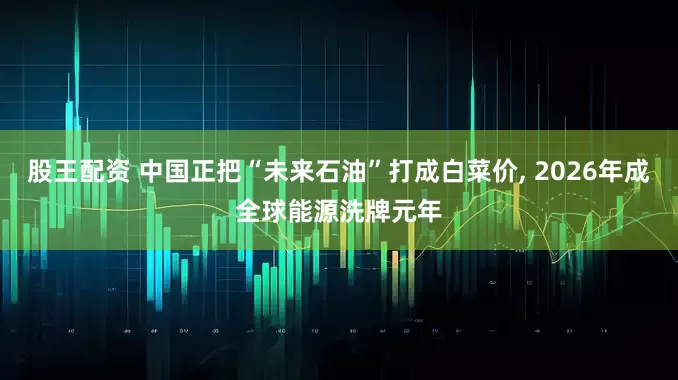 股王配资 中国正把“未来石油”打成白菜价, 2026年成全球能源洗牌元年